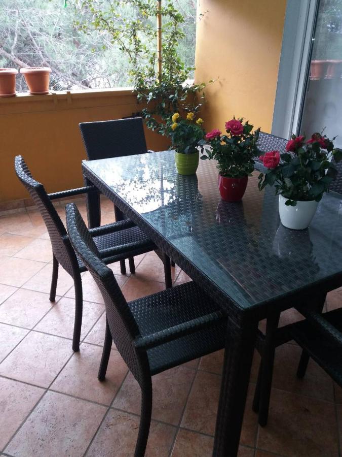 Apartman Lucica ซาดาร์ ภายนอก รูปภาพ